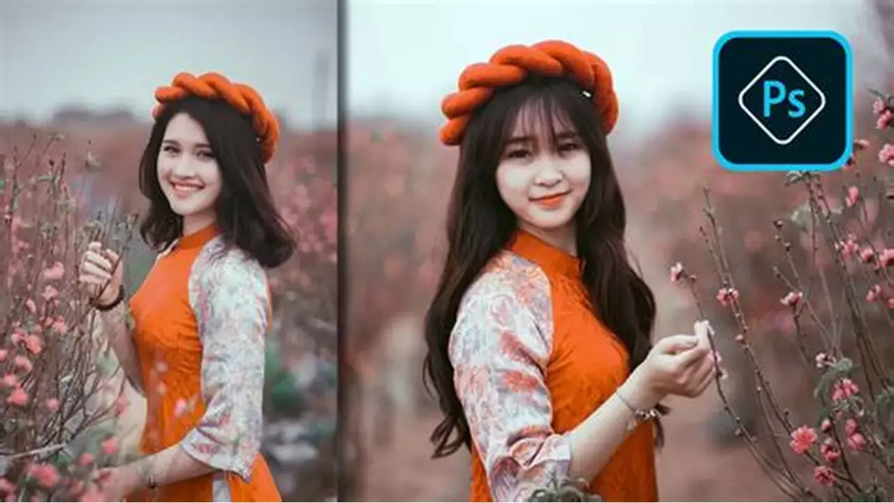 Tài nguyên 5 danh mục 1