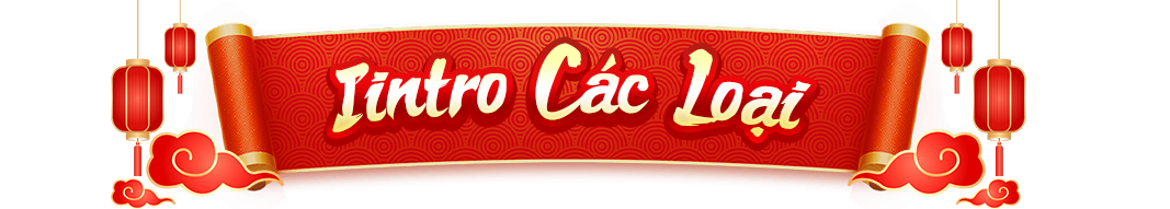 Intro